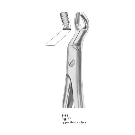 Fig 67 Upper Third Molars With Fitting Handle Dental Extracting Forceps