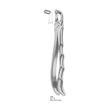 Fig 79 Lower Third Molars With Fitting Handle Dental Extraction Forceps